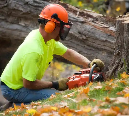 tree services Russell